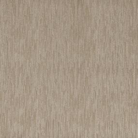 Pattern Image Beige/Tan Carpet