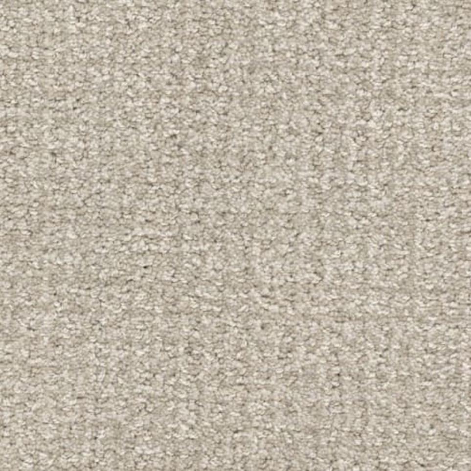 Pattern In-Corgnito Beige/Tan Carpet