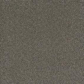Texture Hillsdale Brown Carpet