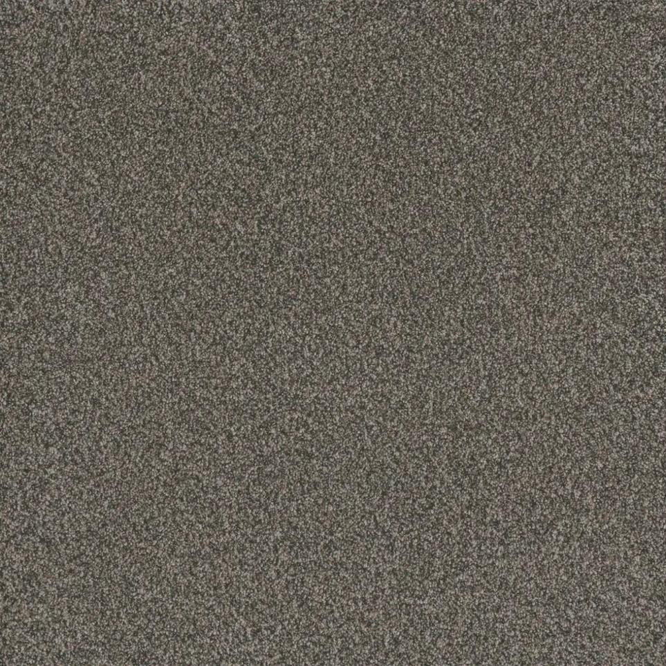 Texture Hillsdale Brown Carpet