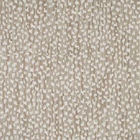 Loop Foothills Beige/Tan Carpet
