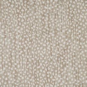 Loop Foothills Beige/Tan Carpet