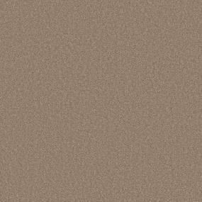 Textured Saxony Landscape Brown Carpet