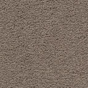 Textured Saxony Twig Brown Carpet