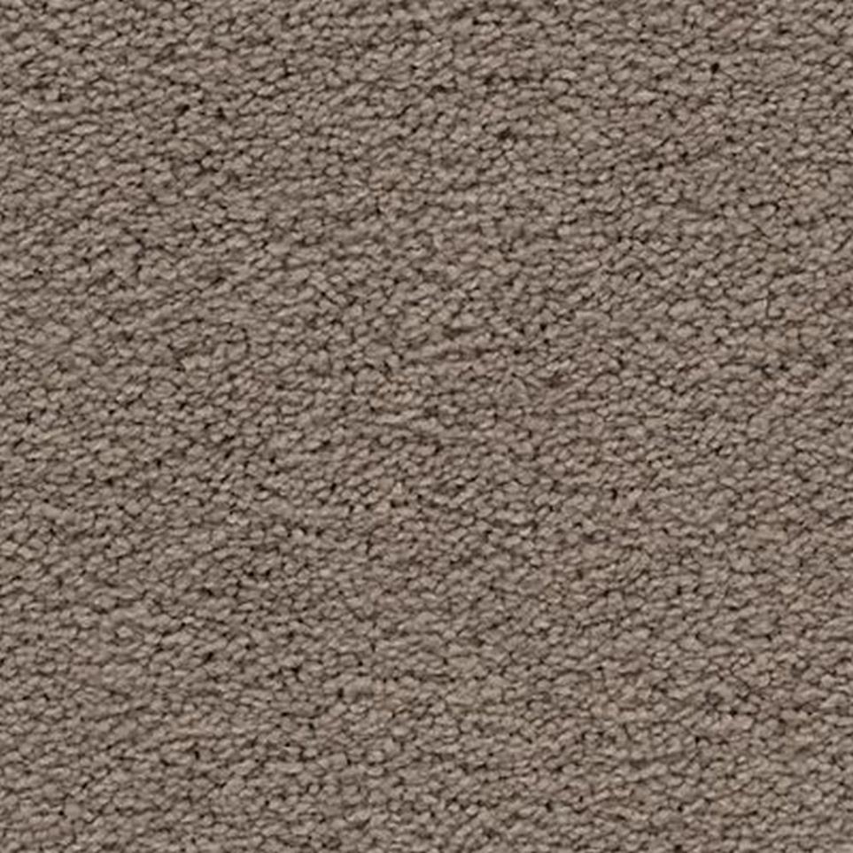 Textured Saxony Twig Brown Carpet
