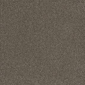 Texture Personal Touch Brown Carpet