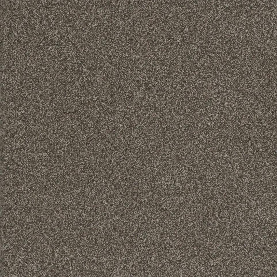 Texture Personal Touch Brown Carpet
