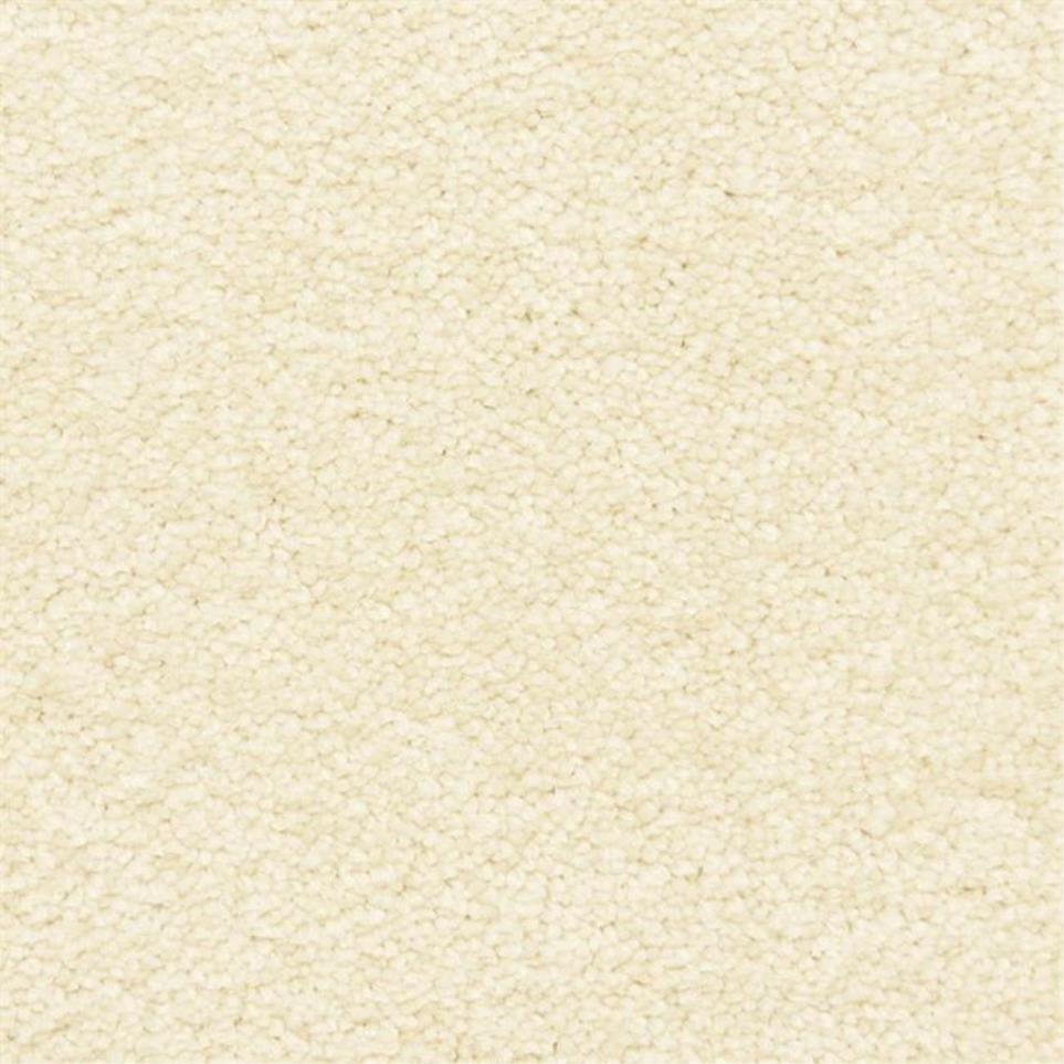 Casual Texture Seed Beige/Tan Carpet