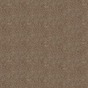 Textured Saxony Brownie Brown Carpet