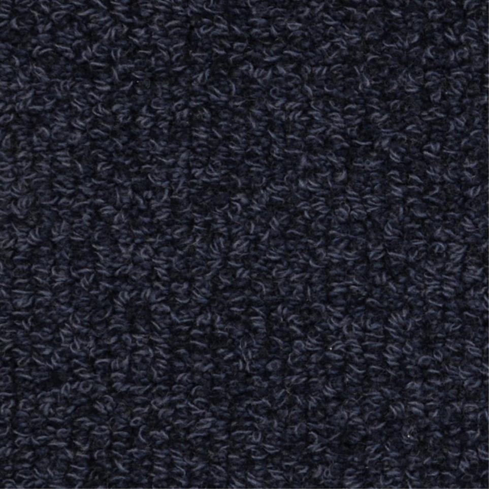 Loop Willis Blue Carpet