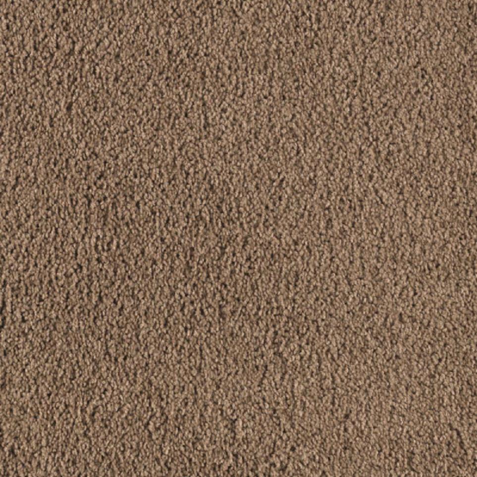 Texture Dakota Brown Carpet