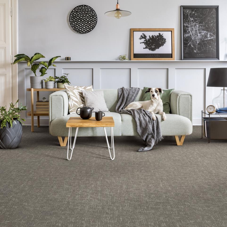 Pattern Boulder Beige/Tan Carpet