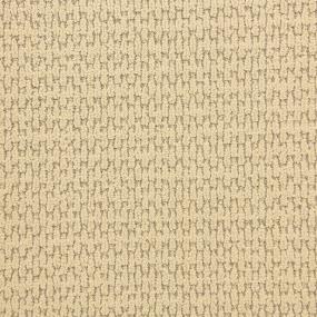 Loop Driftwood Beige/Tan Carpet