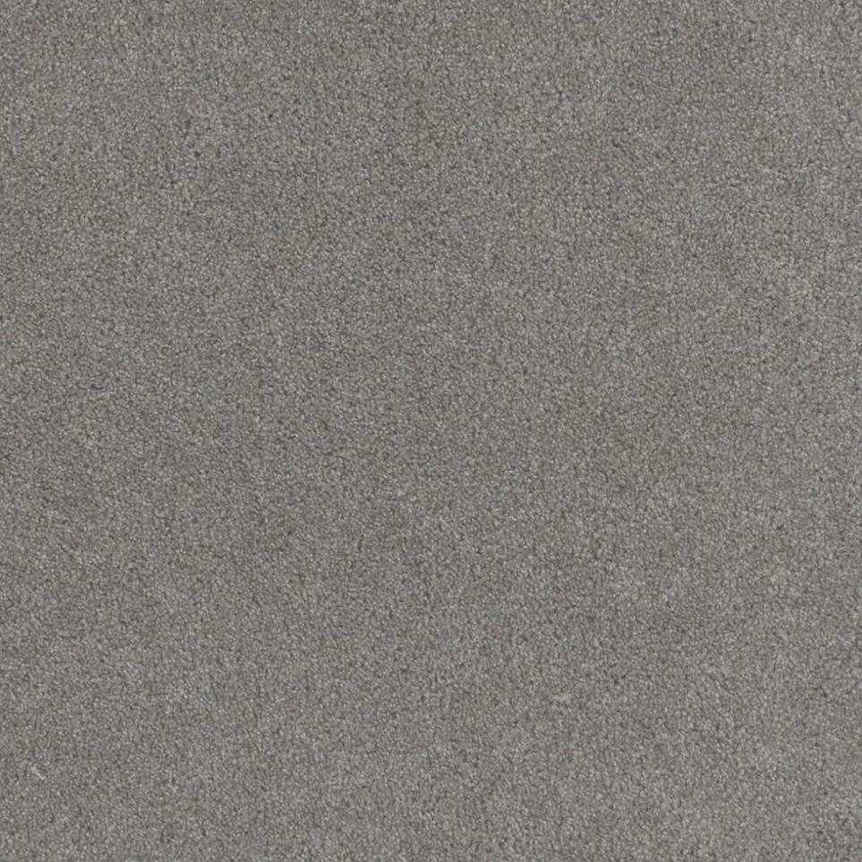 Cut Pile Established Gray Carpet