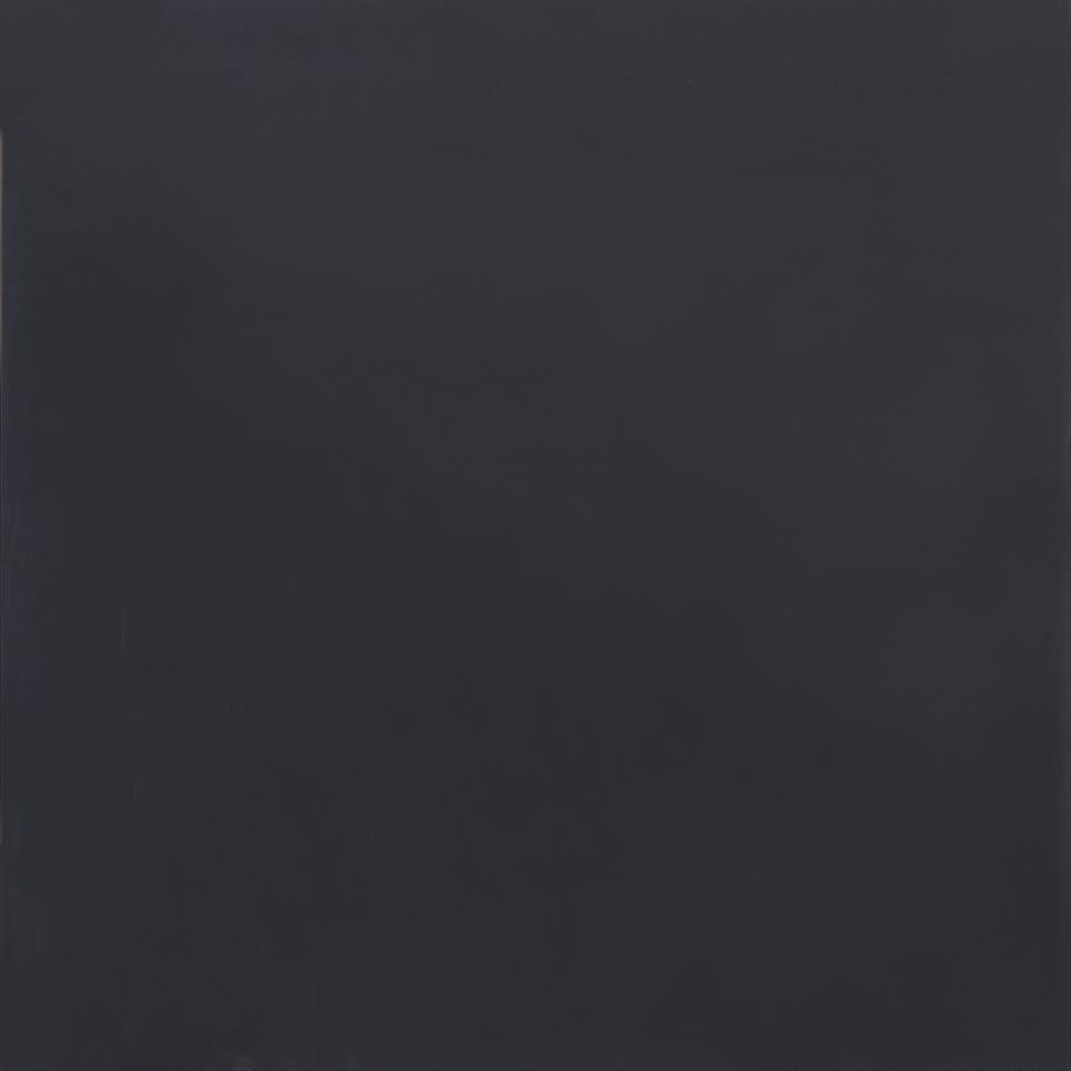 Tile Coal Polished Black Tile