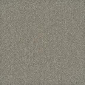 Textured Saxony Casual Beige/Tan Carpet