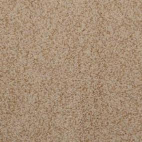 Casual Texture Bleached Burl Beige/Tan Carpet