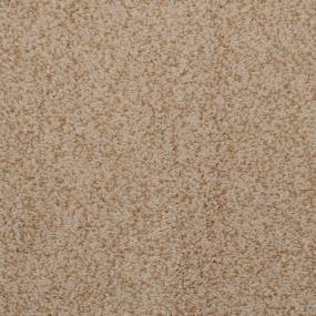 Casual Texture Bleached Burl Beige/Tan Carpet
