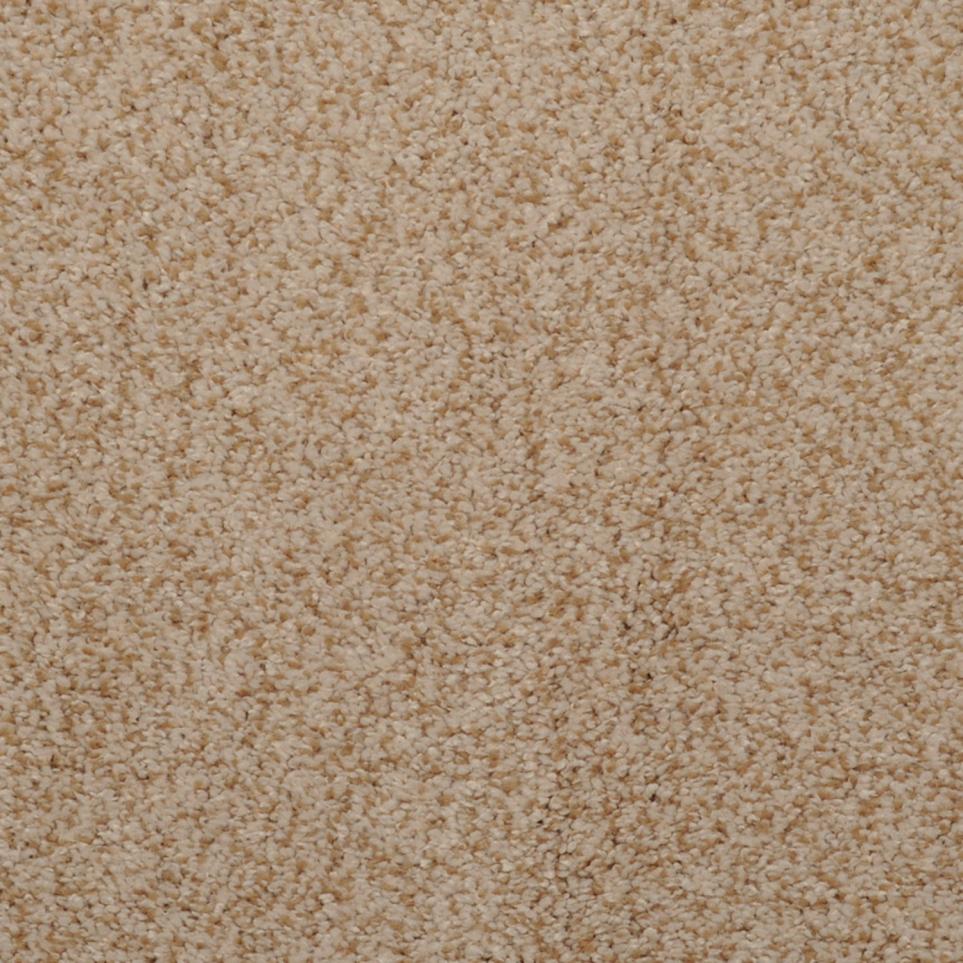 Frieze Bleached Burl  Carpet