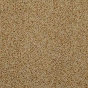 Casual Texture Bonfire Beige/Tan Carpet