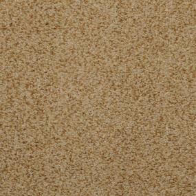 Casual Texture Bonfire Beige/Tan Carpet