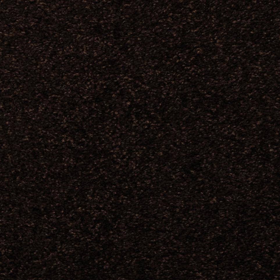 Frieze Charleston Black Carpet