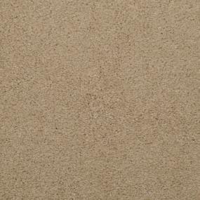Casual Texture Devoted Beige/Tan Carpet