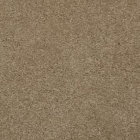 Casual Texture Earth Stone Beige/Tan Carpet