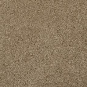 Casual Texture Earth Stone Beige/Tan Carpet