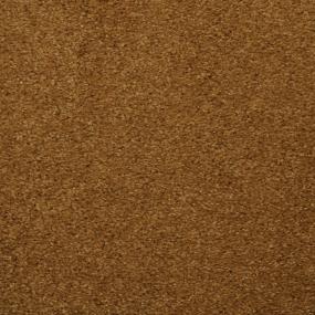 Casual Texture Gourd Beige/Tan Carpet