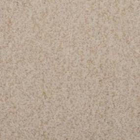 Casual Texture Imagine Beige/Tan Carpet