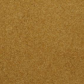 Casual Texture Midday Beige/Tan Carpet