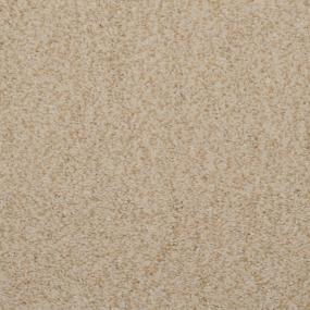 Casual Texture Moonstone Beige/Tan Carpet