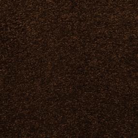 Casual Texture Nourish Brown Carpet