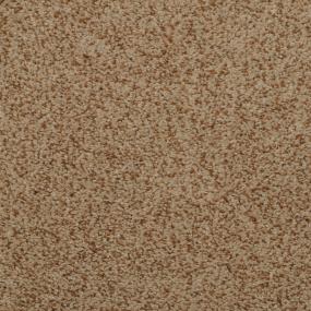 Casual Texture Overjoy Beige/Tan Carpet
