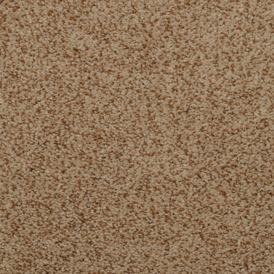Frieze Overjoy Beige/Tan Carpet