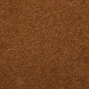 Casual Texture Root Beer Brown Carpet