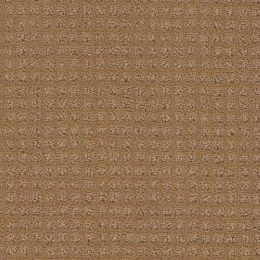 Pattern Reed Beige/Tan Carpet