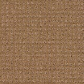 Pattern Reed Brown Carpet