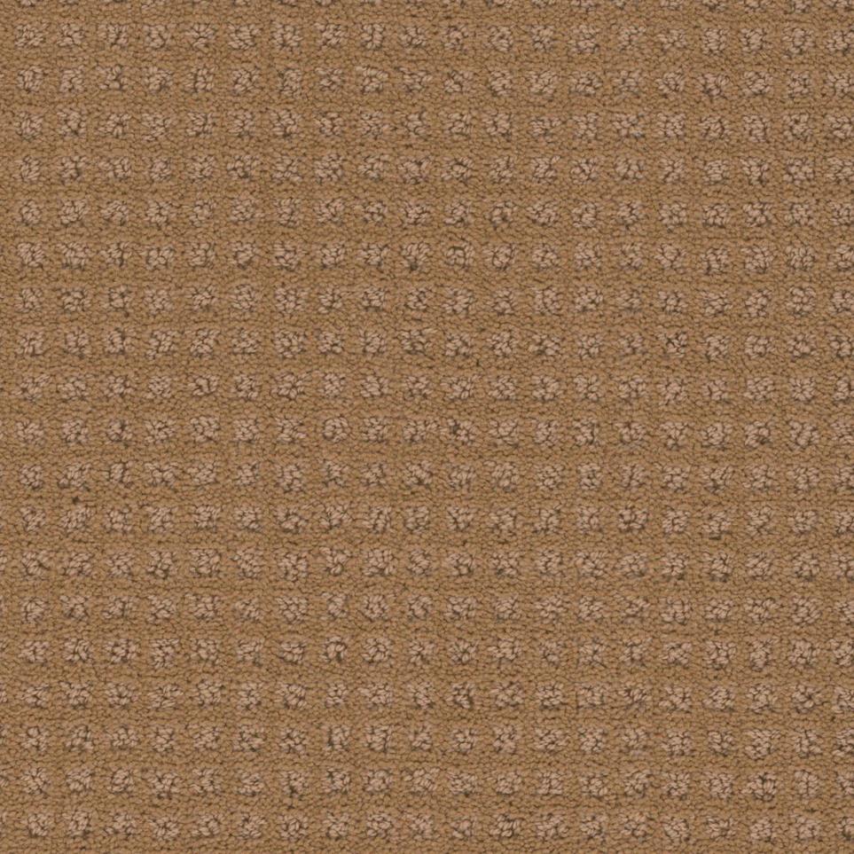 Pattern Reed Brown Carpet
