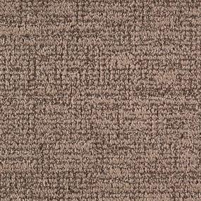 Pattern Dark Taupe Beige/Tan Carpet