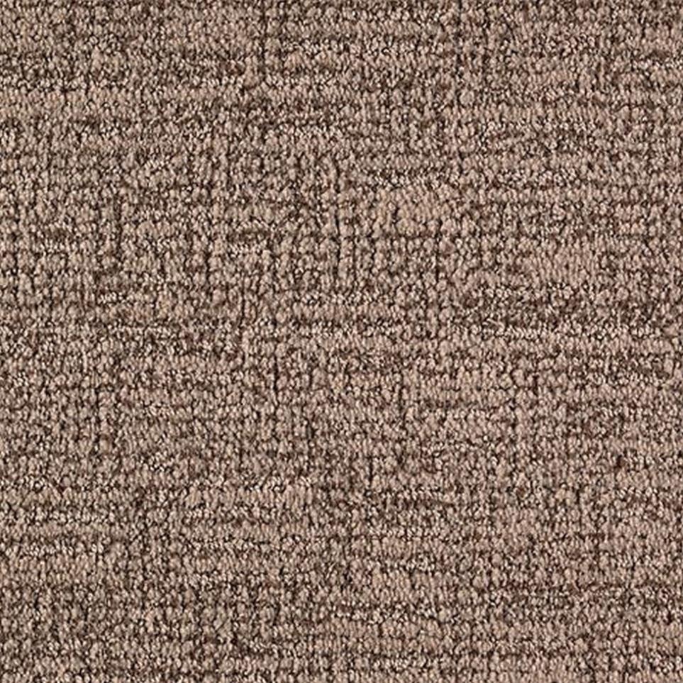 Pattern Dark Taupe Beige/Tan Carpet