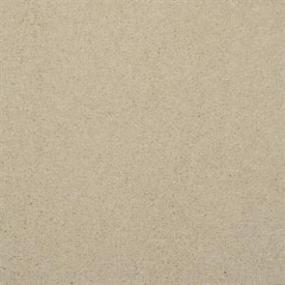 Casual Texture Lusta Beige/Tan Carpet