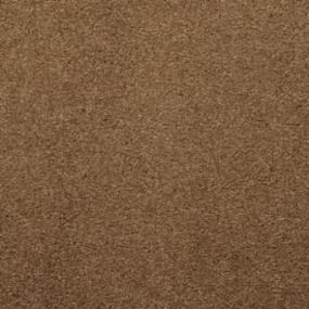 Casual Texture Barley Brown Carpet
