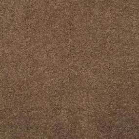 Casual Texture Clay Creek Brown Carpet
