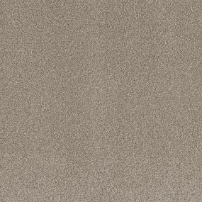 Textured Saxony Venture Beige/Tan Carpet
