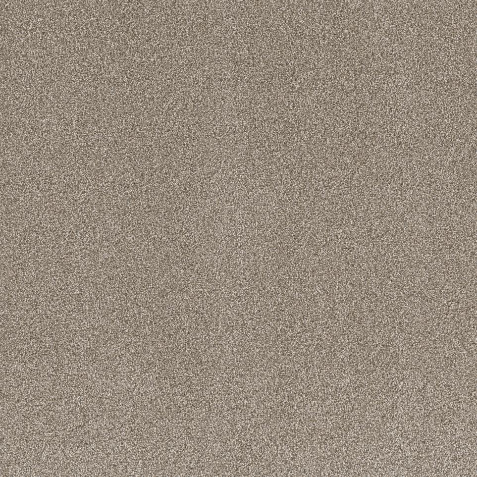 Texture Venture Beige/Tan Carpet