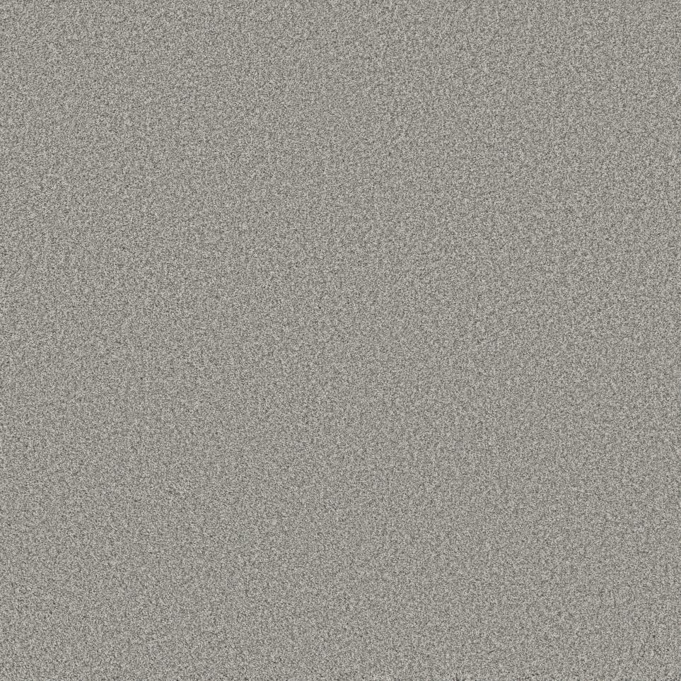 Texture Sterling Gray Carpet