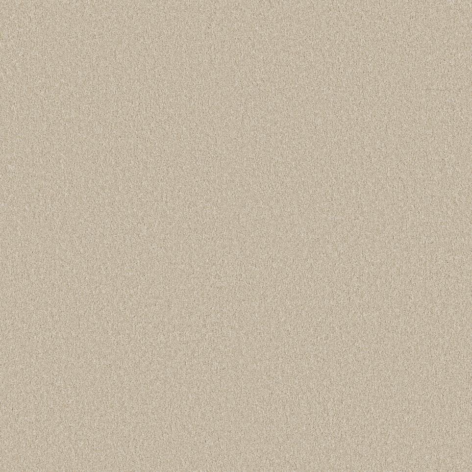 Texture Safari Beige/Tan Carpet