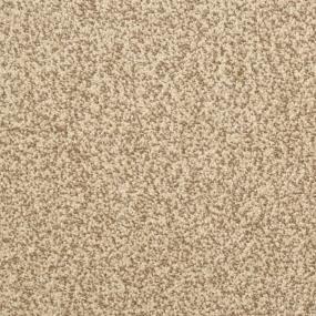 Casual Texture Mesa Beige/Tan Carpet